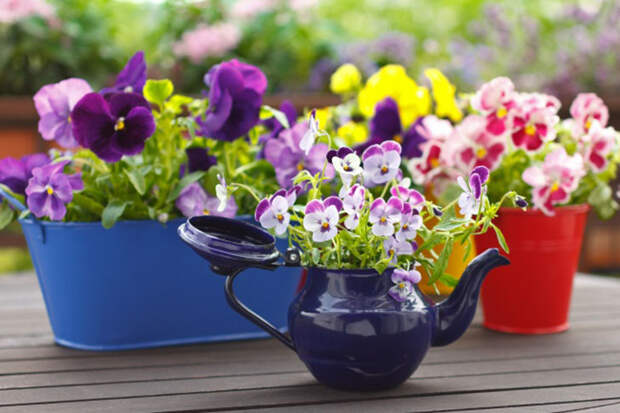 Классные идеи, которые вдохновят вас устроить сад прямо у себя дома
