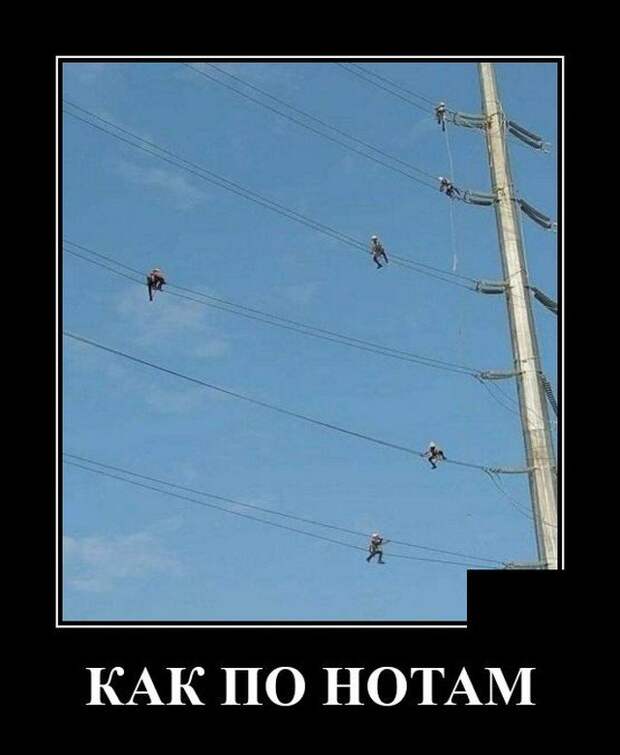 Демотиватор про ноты