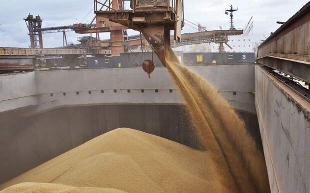 Литва возобновляет закупки зерна из России после шестимесячного перерыва