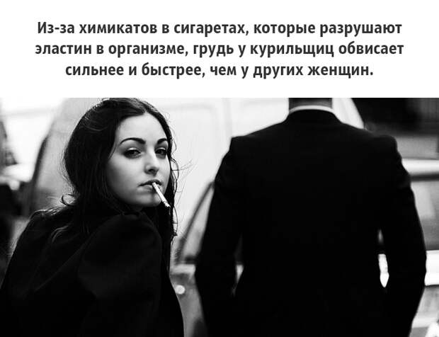 25 малоизвестных фактов о груди, которые должен знать каждый грудь, факты