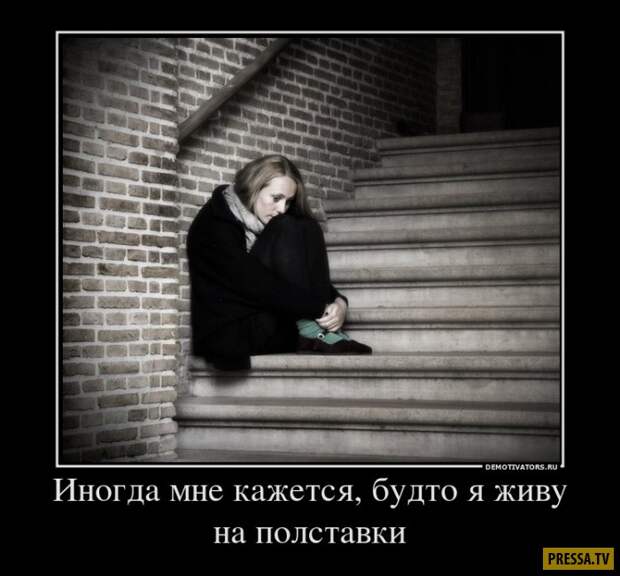 Демотиваторы (42 фото)