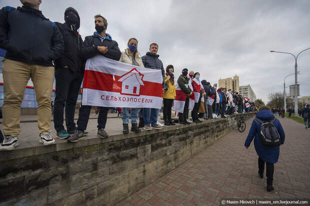 Беларусь, протесты 25 октября.