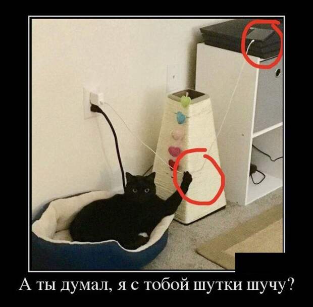 Веселые воскресные демотиваторы для улыбок (11 фото) Веселые воскресные демотиваторы для улыбок (11 фото)