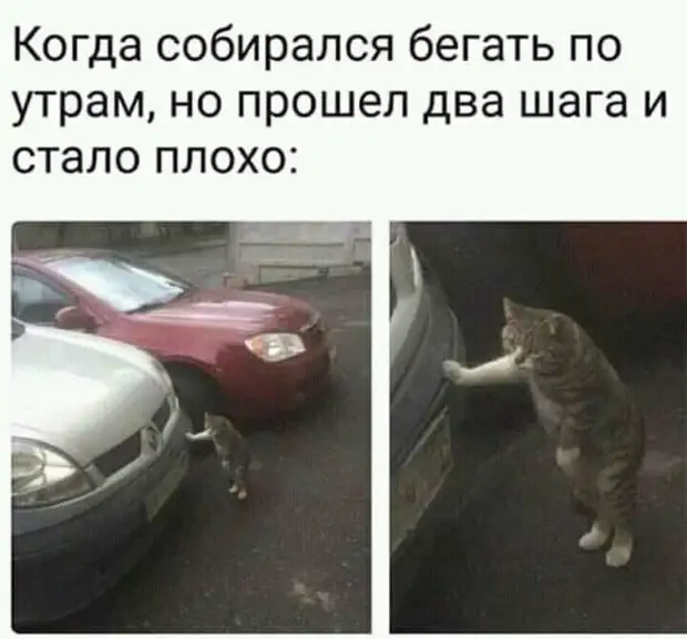 В каждой женщине природой заложено умение красиво стесняться и вызывающе скромничать В каждой женщине природой заложено умение красиво стесняться и вызывающе скромничать Вовочка, когда, понял, белый, отвешивает, почему, пришли, только, стране, обещал, Женский, алкоголизм, последний, мешает, тесто, блины, Кухня, подбегает, измазюкивает, чернокожих