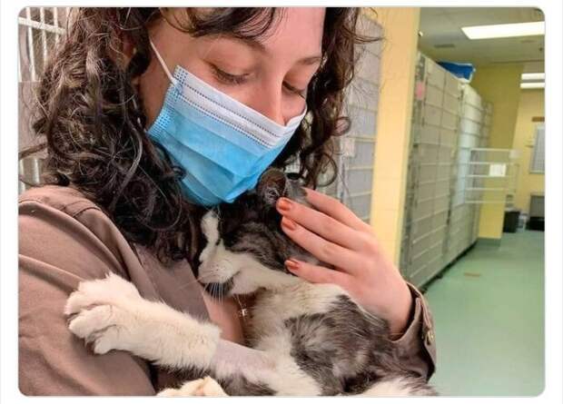 13. Девушка забрала из приюта 20-летнего кота, чтобы он не провел остаток жизни в клетке 13. Девушка забрала из приюта 20-летнего кота, чтобы он не провел остаток жизни в клетке