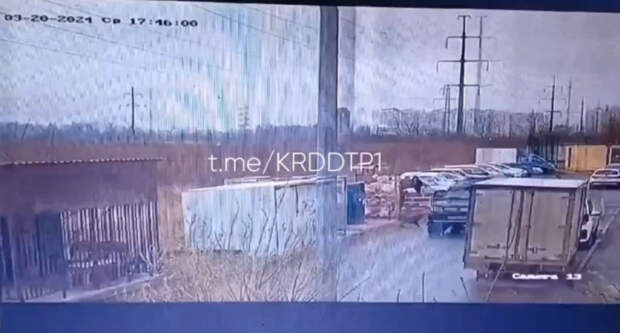 А мужчина ли? В Краснодаре живодер переехал собаку