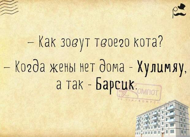 Хулимяу или Барсик?
