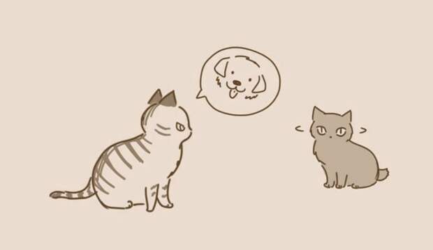 animal-friends-cat-dog-comics-lynal-3