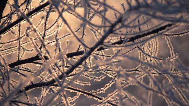 В Москве 22 января ожидается снег и до –10 градусов
