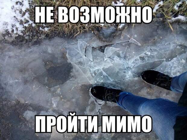 mCQJX7TpDJE