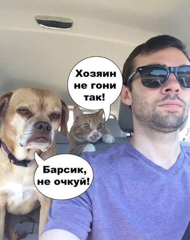 1452505302_fotomemy-18
