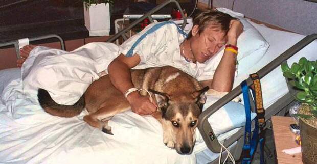 Эта очень трогательна история дружбы Бена и его пса растопит даже самое холодное сердце!