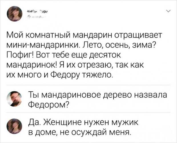 комментарий про мандарины