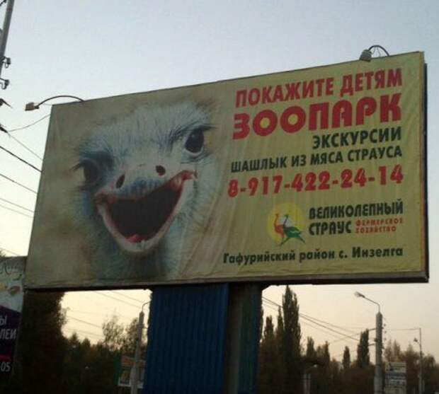 Продавцы-приколисты. Забавные примеры