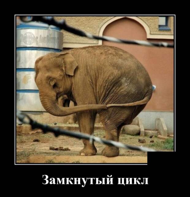 Демотиваторы (30 фото)