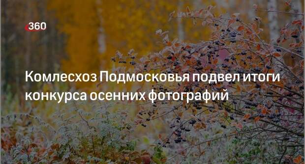 Комлесхоз Подмосковья подвел итоги конкурса осенних фотографий