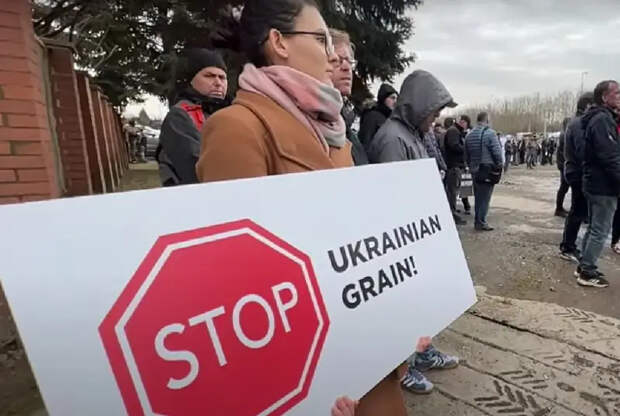 Министр развития и технологий Польши резко ответил Зеленскому на его критику протестов польских фермеров