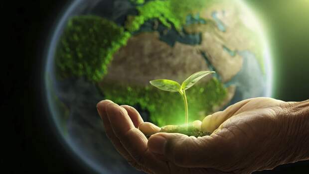 Действительно ли посадка триллиона деревьев спасет планету от потепления? Новое исследование о реальной роли деревьев и климате Земли