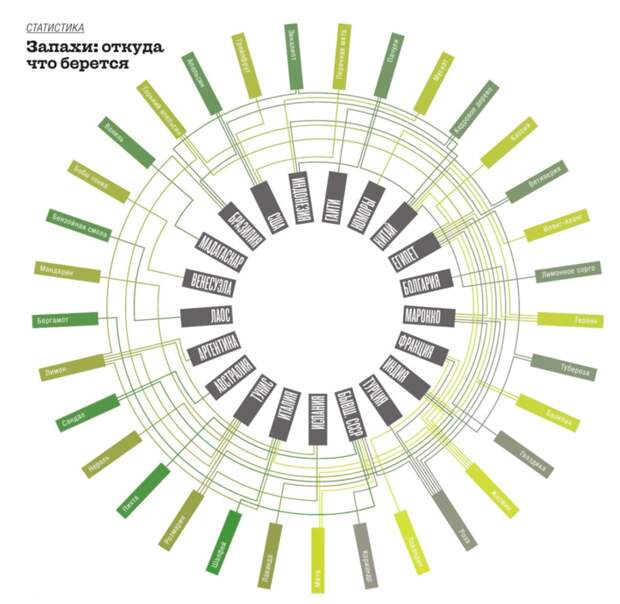 Мир запахов: какие растения служат источниками эфирных масел и где их выращивают