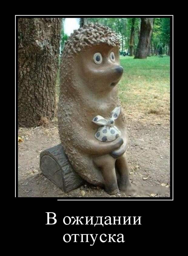 Демотиваторы (30 фото)