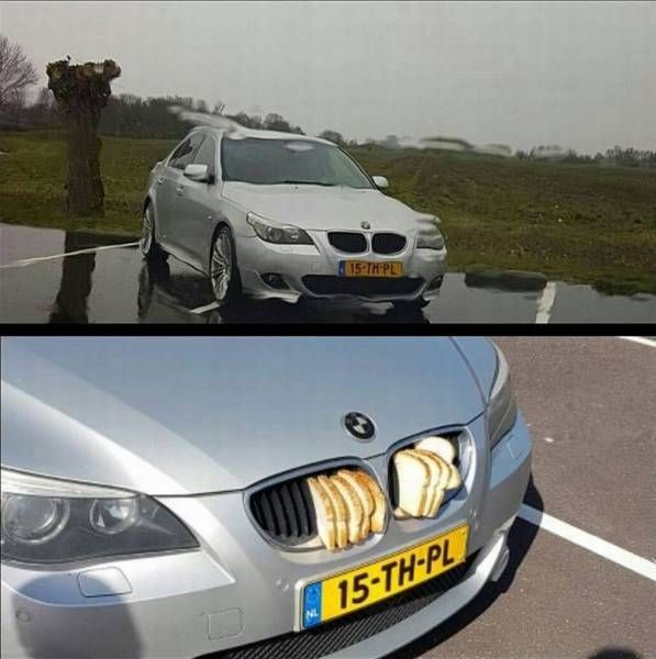 Прикольные картинки