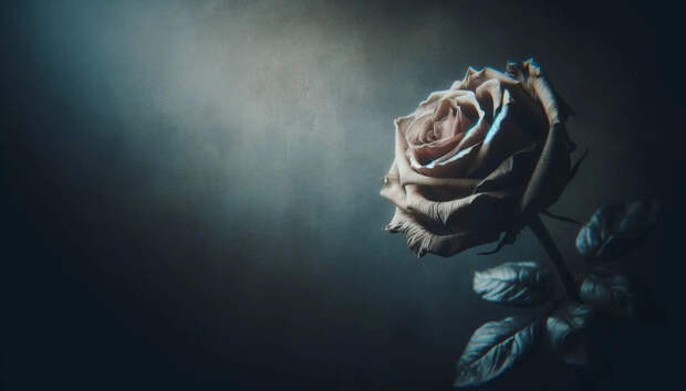 В якутском Среднеколымске тела умерших хранят в подвале с продуктами