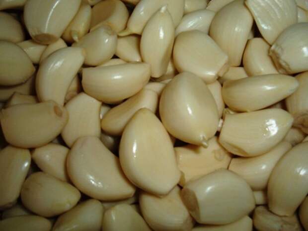 Полезные и загадочные свойства чеснока 10 garlic health 10