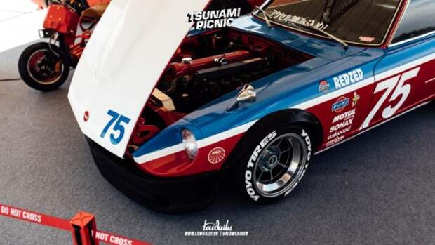 tsunami picnic x lowdaily 121