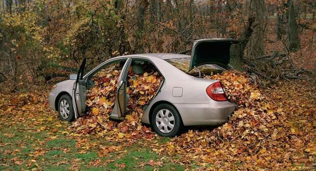Почему машину нужно тщательно очищать от опавшей листвы