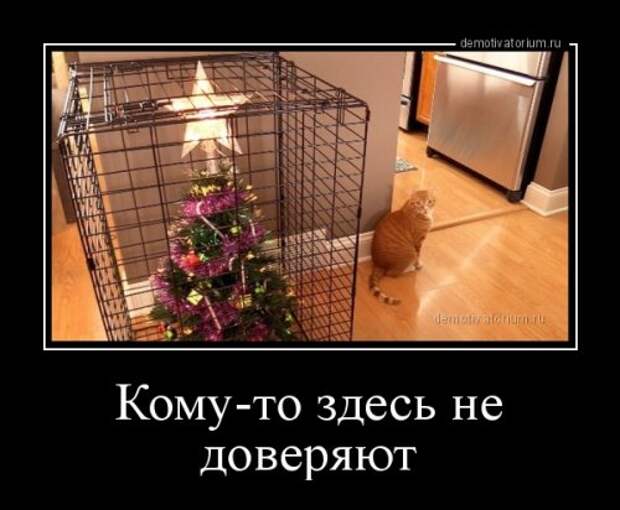 Свежие демотиваторы на Бугаге (17 шт)