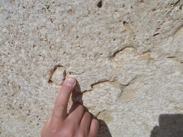 личный архив