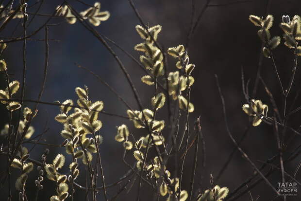 В первый день апреля в Татарстане ожидаются туман и температура до +18˚
