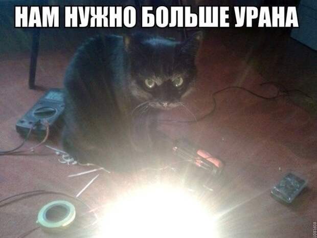 приколы