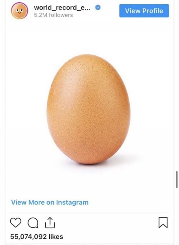 Пользователь с ником world_record_egg 4 января 2019 года опубликовал яйцо с призывом побить рекорд самого популярного на тот момент снимка в «Инстаграме» — фотографии ребенка модели Кайли Дженнер. Рекорд, как видите, держится до сих пор.