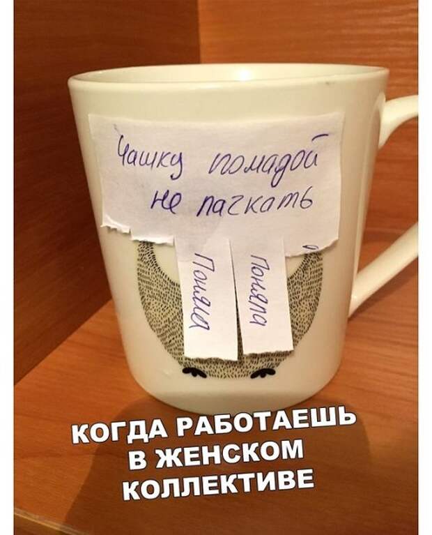 Подборка супер смешных картинок и мемов