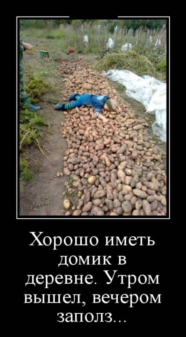 Демотиваторы