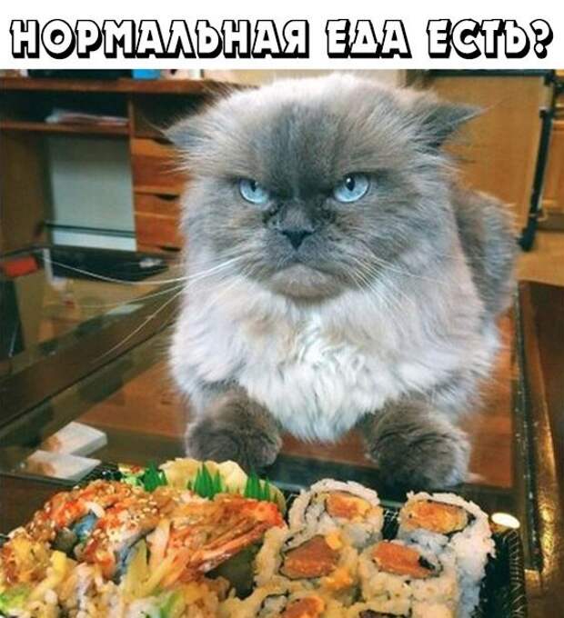 Прикольные и смешные картинки