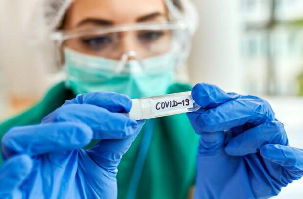 Ученые в Японии предупредили о риске мутации COVID-19 в «гробовирус»