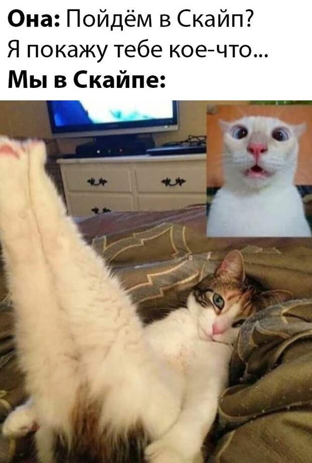 www.vsyako.net