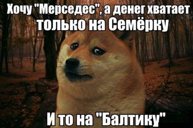 Алкогольный юмор (36 фото)