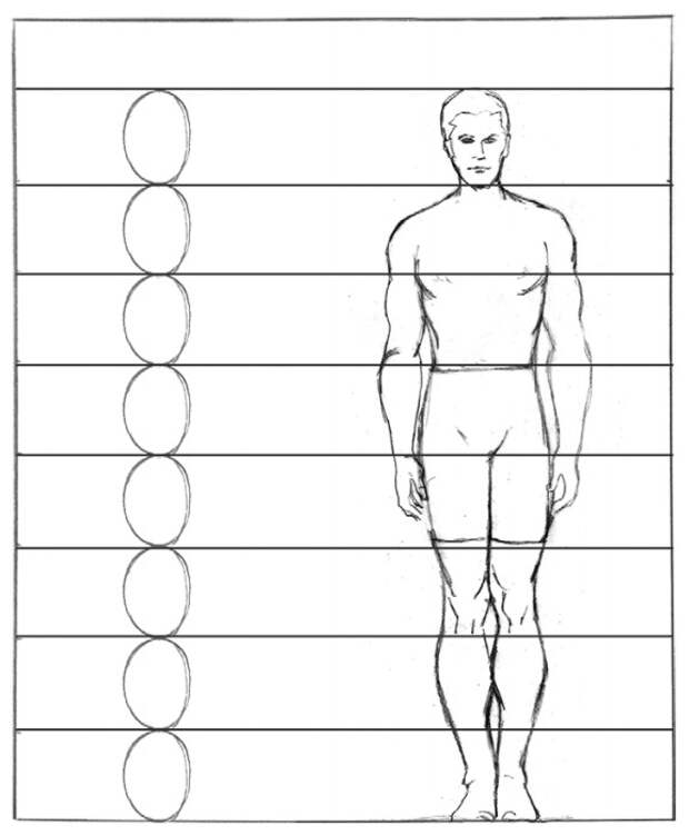 Рисунок изображение фигуры. Схема пропорций фигуры человека. Фигура человека в полный рост пропорции. Пропорции тела человека рисунок. Пропорции человека для рисования.