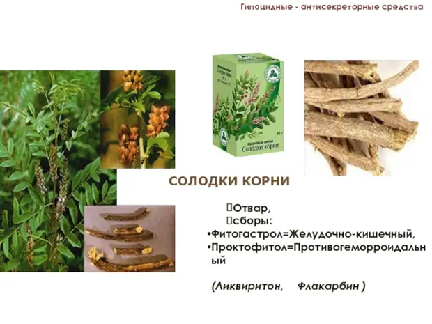 КОРЕНЬ СОЛОДКИ: СЛАБИТЕЛЬНОЕ И ПРОТИВОВОСПАЛИТЕЛЬНОЕ СРЕДСТВО