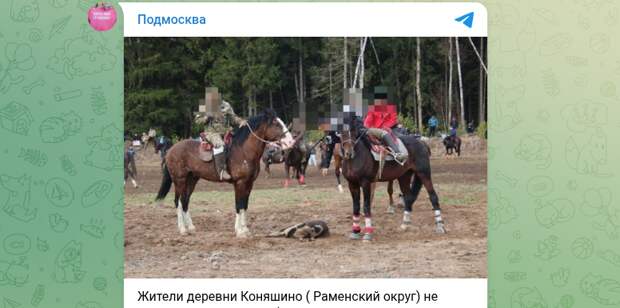 Фото: тг-канал "Подмосква".