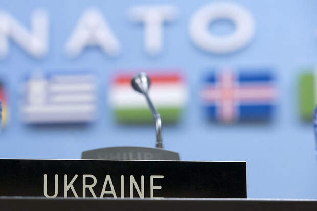 Читатели немецкой газеты назвали желание Украины вступить в НАТО «игрой с огнём»