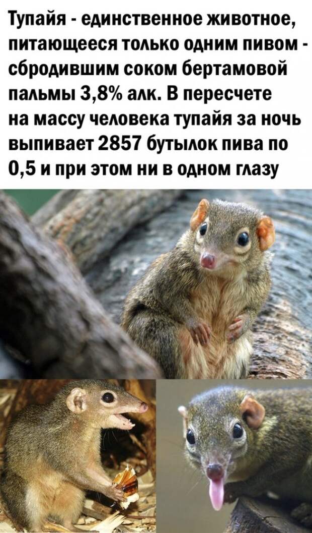 Картинки разные