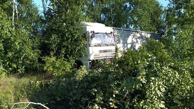 Один человек погиб в результате ДТП с грузовиком в Новосибирской области