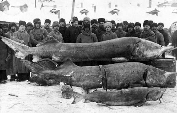 24 исторических советских и российских фото, которые точно надо посмотреть