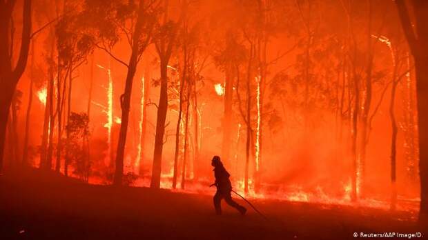 Австралия в огне! Что происходит с природой?