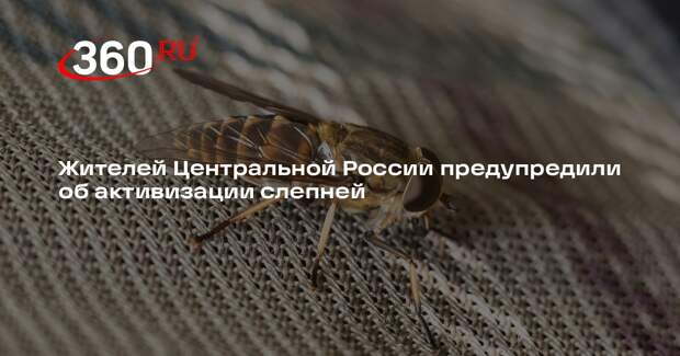 Shot: слепни начали появляться в Центральной России из-за тепла