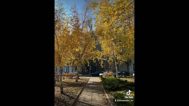 Video: 3dbae95891acbb816d7fd750ac6128fc.mp4
